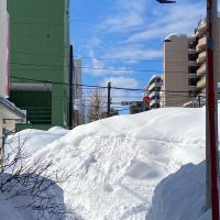 大雪です!!!